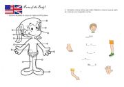 English Worksheet: Parts of the body