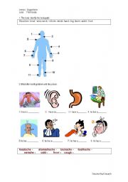 English worksheet: modals should, have to, must