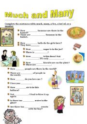 English Worksheet: much and many