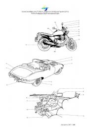 English Worksheet: cars