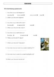 English Worksheet: a class survey on media 