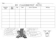 English worksheet: MY CLASSMATES PETS questionaire
