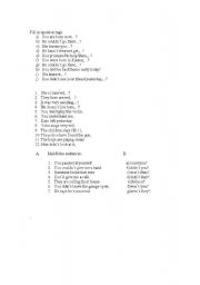 English worksheet:  tag questions