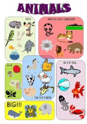 English Worksheet: ANIMALS