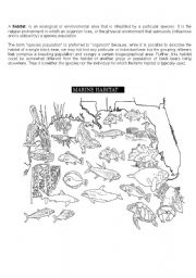 English Worksheet: a marine habitat