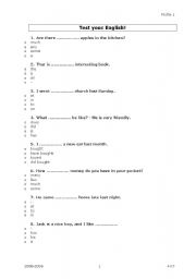 English Worksheet: Quiz to test the grammar level