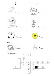 English worksheet: opposites