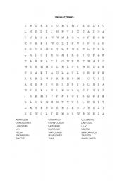 English Worksheet: Names of Flowers