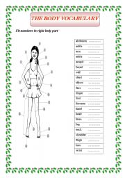 English Worksheet: BODY PARTS