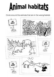 English Worksheet: Animal Habitats