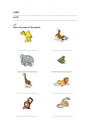 English worksheet: What animal is it?