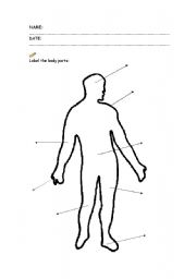 English worksheet: Label my body