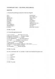 English worksheet: TEST 1 - THE HUMAN, HOME, SCHOOL - B