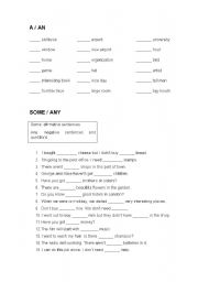 English Worksheet: a/an, some, any