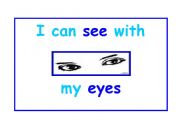 English Worksheet: five senses 2/5