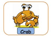 English Worksheet: animals flashcards part 6 