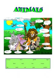 English Worksheet: Animals - Vocabulary