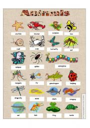 English Worksheet: Animals