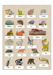 English Worksheet: animals part 2