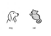 English worksheet: Pets