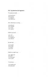 English Worksheet: ESL Tag Questions (for beginners)