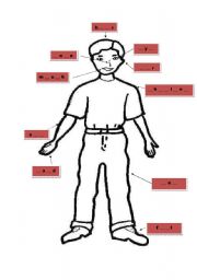 English worksheet: parts of the body