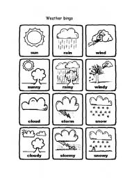 English Worksheet: Weather Bingo
