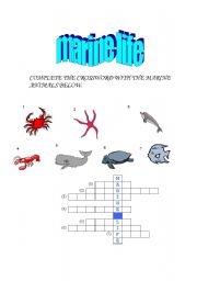 English worksheet: marine life crossword