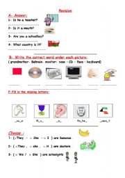 English worksheet: revision