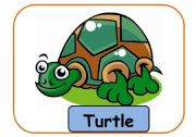 English Worksheet: ANIMALS FLASHCARDS PART 8