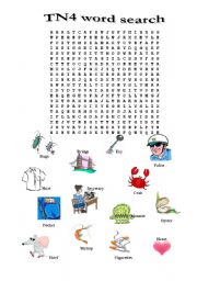 English worksheet: Word search for beginners