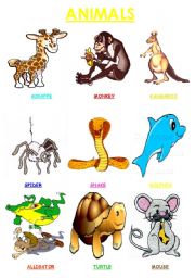 animals2