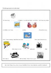 English worksheet: present simple tense& vocabulary revision