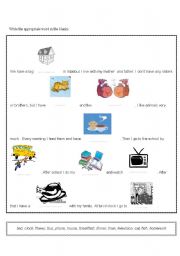 English Worksheet: present simple tense& vocabulary revision