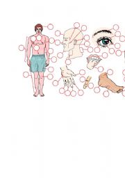 English Worksheet: boby
