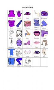 English Worksheet: Body Parts (Vocabulary)