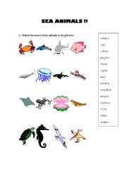 English worksheet: SEA ANIMALS