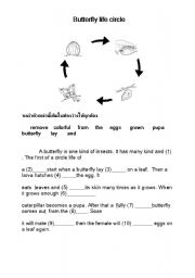 English worksheet: cloze test