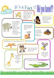 English Worksheet: Animals CAN/CANT