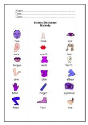 English worksheet: picture dictionary