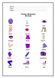 English Worksheet: picture dictionary