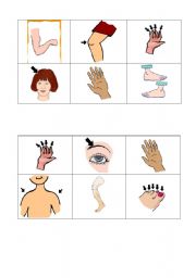 English Worksheet: body parts bingo 1