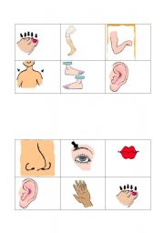 English Worksheet: body parts bingo set 2