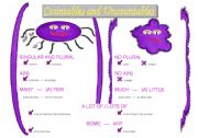 English Worksheet: Countables and Uncountables - poster