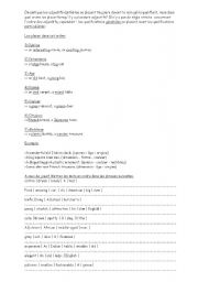 English Worksheet: place des adjectifs