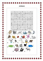 English Worksheet: Animals