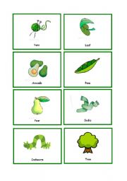 English Worksheet: Colour Cards GREEN