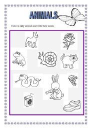 English worksheet: animals