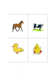 English worksheet: Big and little animals