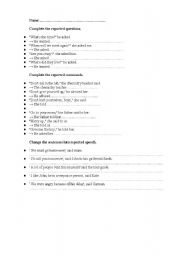 English worksheet: Reported Speech - Mini Test